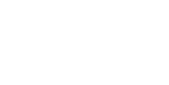 Grupo Diversite