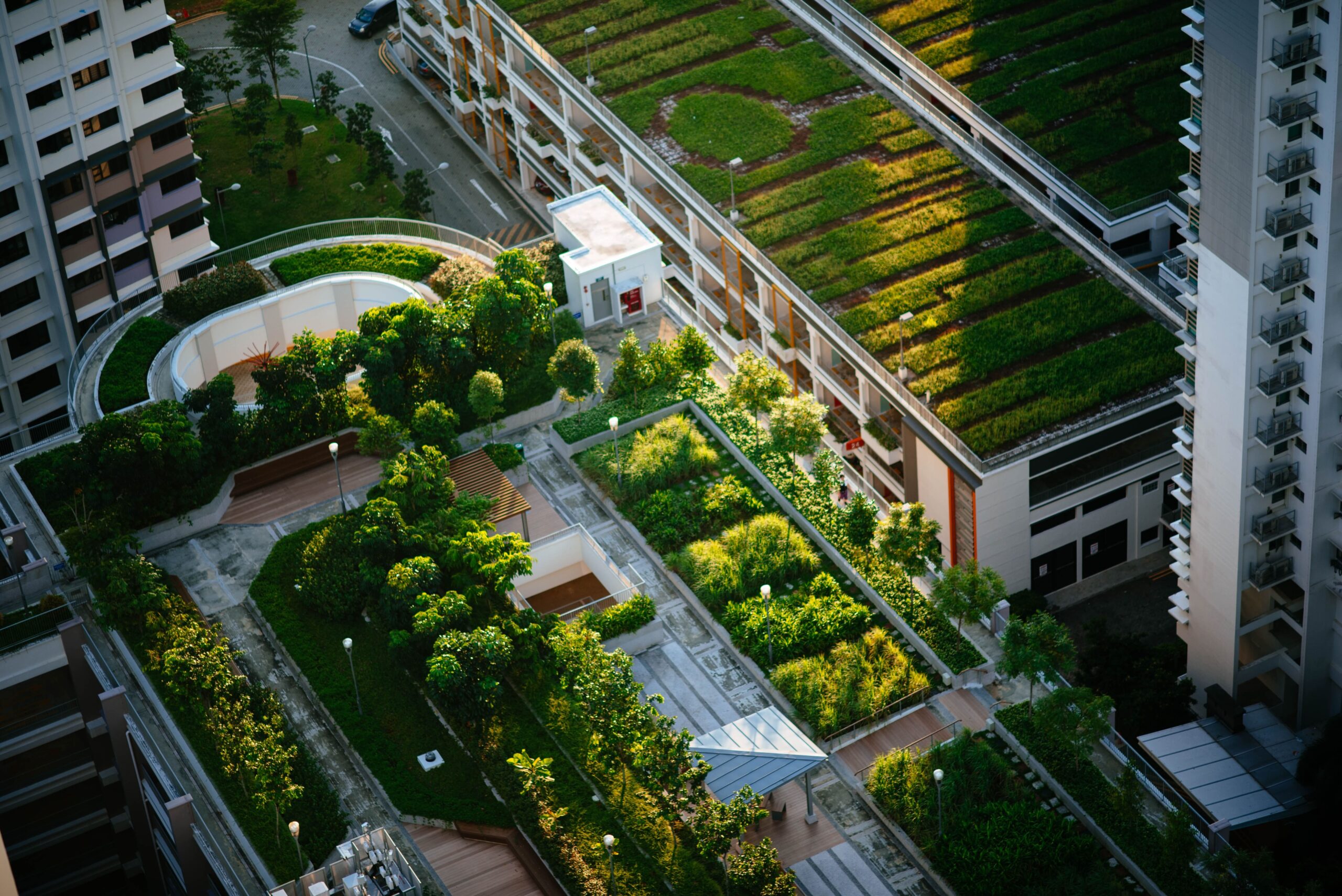 roof garden, azotea verde, techo verde, green roof